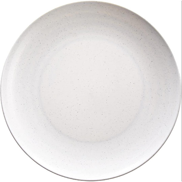 Union Rustic Microwave Everyday Dinner Plates, Set of 2, White,10 Wayfair